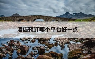 酒店预订哪个平台好一点-酒店预订哪个网好