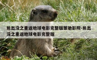 熊出没之重返地球电影完整版策驰影院-熊出没之重返地球电影完整版