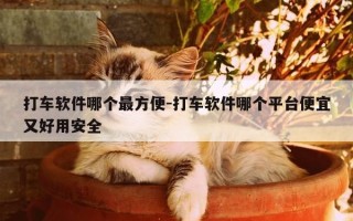打车软件哪个最方便-打车软件哪个平台便宜又好用安全