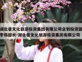 湖北省文化旅游投资集团有限公司企划投资部李炜部长-湖北省文化旅游投资集团有限公司