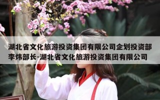 湖北省文化旅游投资集团有限公司企划投资部李炜部长-湖北省文化旅游投资集团有限公司