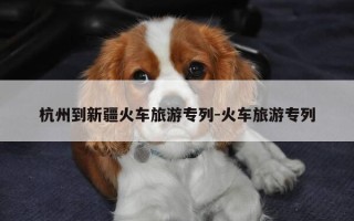 杭州到新疆火车旅游专列-火车旅游专列