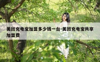 美团充电宝加盟多少钱一台-美团充电宝共享加盟费