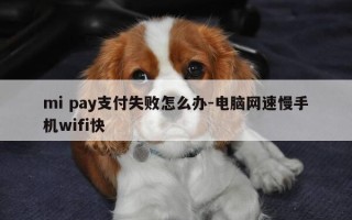 mi pay支付失败怎么办-电脑网速慢手机wifi快