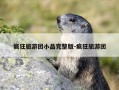 疯狂旅游团小品完整版-疯狂旅游团