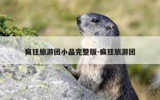 疯狂旅游团小品完整版-疯狂旅游团