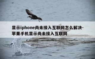 显示iphone尚未接入互联网怎么解决-苹果手机显示尚未接入互联网