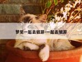 梦见一起去旅游-一起去旅游
