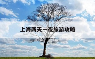 上海两天一夜旅游攻略-上海两天一夜旅游攻略与行程安排