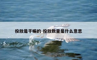 投放是干嘛的-投放数量是什么意思