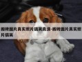搬砖图片真实照片搞笑高清-搬砖图片真实照片搞笑