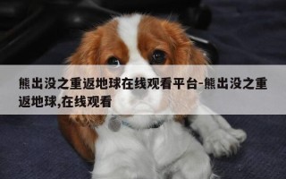 熊出没之重返地球在线观看平台-熊出没之重返地球,在线观看