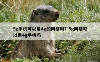 5g手机可以用4g的网络吗?-5g网络可以用4g手机吗
