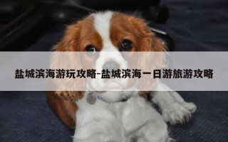 盐城滨海游玩攻略-盐城滨海一日游旅游攻略