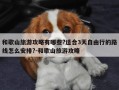 和歌山旅游攻略有哪些?适合3天自由行的路线怎么安排?-和歌山旅游攻略