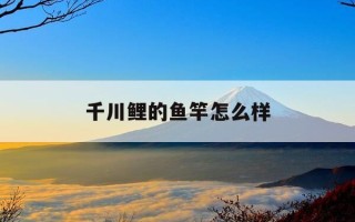 千川鲤的鱼竿怎么样-千川鲤属于什么档次