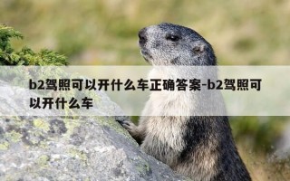 b2驾照可以开什么车正确答案-b2驾照可以开什么车
