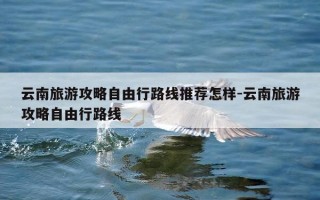 云南旅游攻略自由行路线推荐怎样-云南旅游攻略自由行路线