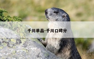 千川单品-千川口碑分
