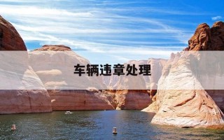 车辆违章处理-车辆违章处理需要带什么证件