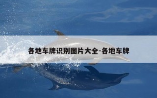 各地车牌识别图片大全-各地车牌