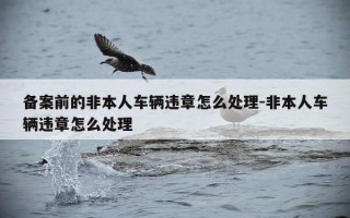 备案前的非本人车辆违章怎么处理-非本人车辆违章怎么处理
