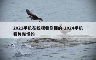 2021手机在线观看你懂的-2024手机看片你懂的