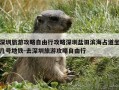 深圳旅游攻略自由行攻略深圳盐田滨海占道坐几号地铁-去深圳旅游攻略自由行