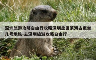 深圳旅游攻略自由行攻略深圳盐田滨海占道坐几号地铁-去深圳旅游攻略自由行