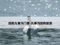 团购九寨沟门票-九寨沟团购旅游