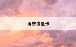 山东流量卡-山东流量卡哪个便宜