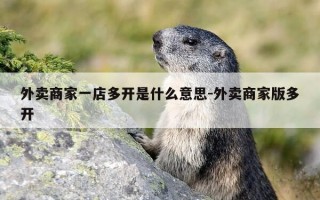 外卖商家一店多开是什么意思-外卖商家版多开