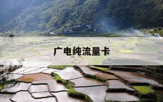 广电纯流量卡-广电纯流量卡是物联卡吗