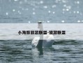 小海豚旅游联盟-旅游联盟