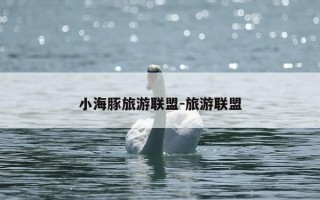 小海豚旅游联盟-旅游联盟