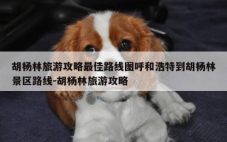 胡杨林旅游攻略最佳路线图呼和浩特到胡杨林景区路线-胡杨林旅游攻略