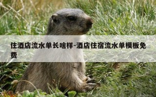 住酒店流水单长啥样-酒店住宿流水单模板免费