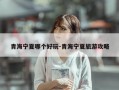 青海宁夏哪个好玩-青海宁夏旅游攻略