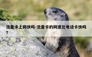 流量卡上网快吗-流量卡的网速比电话卡快吗?
