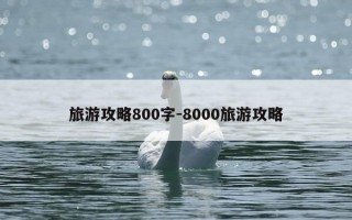 旅游攻略800字-8000旅游攻略