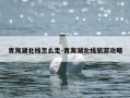 青海湖北线怎么走-青海湖北线旅游攻略