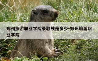 郑州旅游职业学院录取线是多少-郑州旅游职业学院