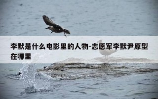 李默是什么电影里的人物-志愿军李默尹原型在哪里