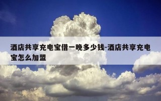 酒店共享充电宝借一晚多少钱-酒店共享充电宝怎么加盟