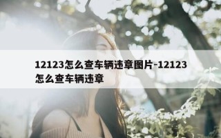 12123怎么查车辆违章图片-12123怎么查车辆违章