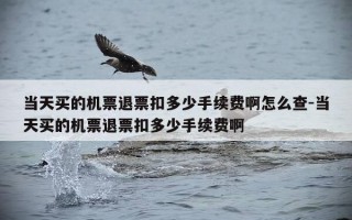 当天买的机票退票扣多少手续费啊怎么查-当天买的机票退票扣多少手续费啊