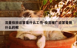 流量投放运营是什么工作-投流推广运营是做什么的呢