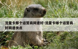 流量卡那个运营商网速好-流量卡哪个运营商好网速快点