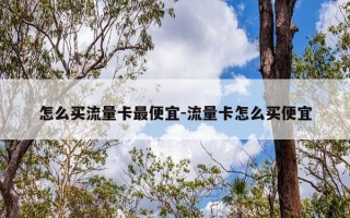 怎么买流量卡最便宜-流量卡怎么买便宜