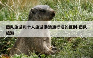 团队旅游和个人旅游港澳通行证的区别-团队旅游